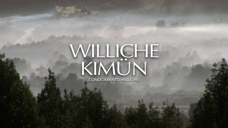 Williche Kimün – Conocimiento Williche