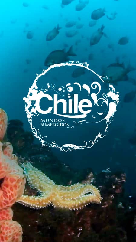 Chile, mundos sumergidos