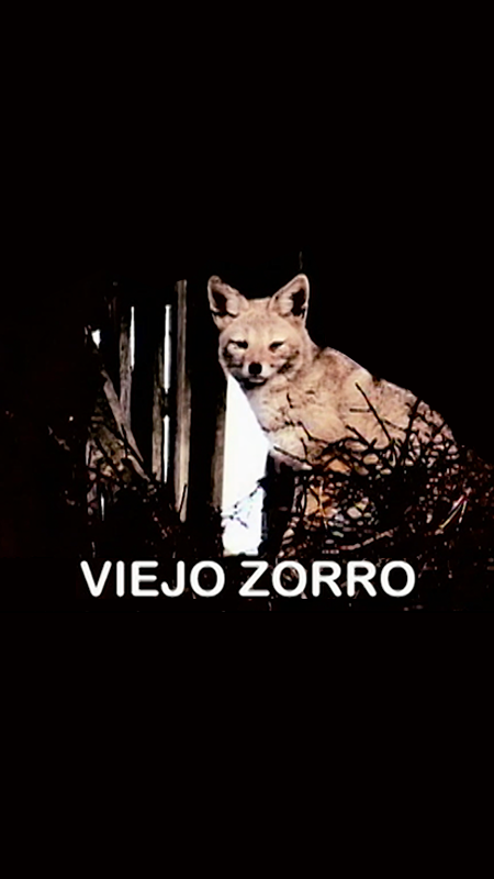 Viejo Zorro